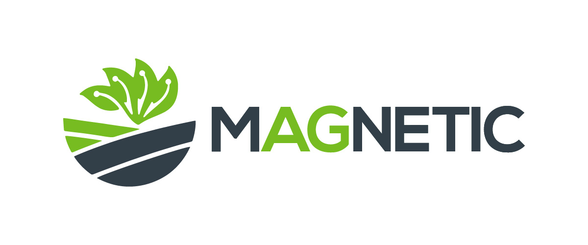 Magnetic Ag