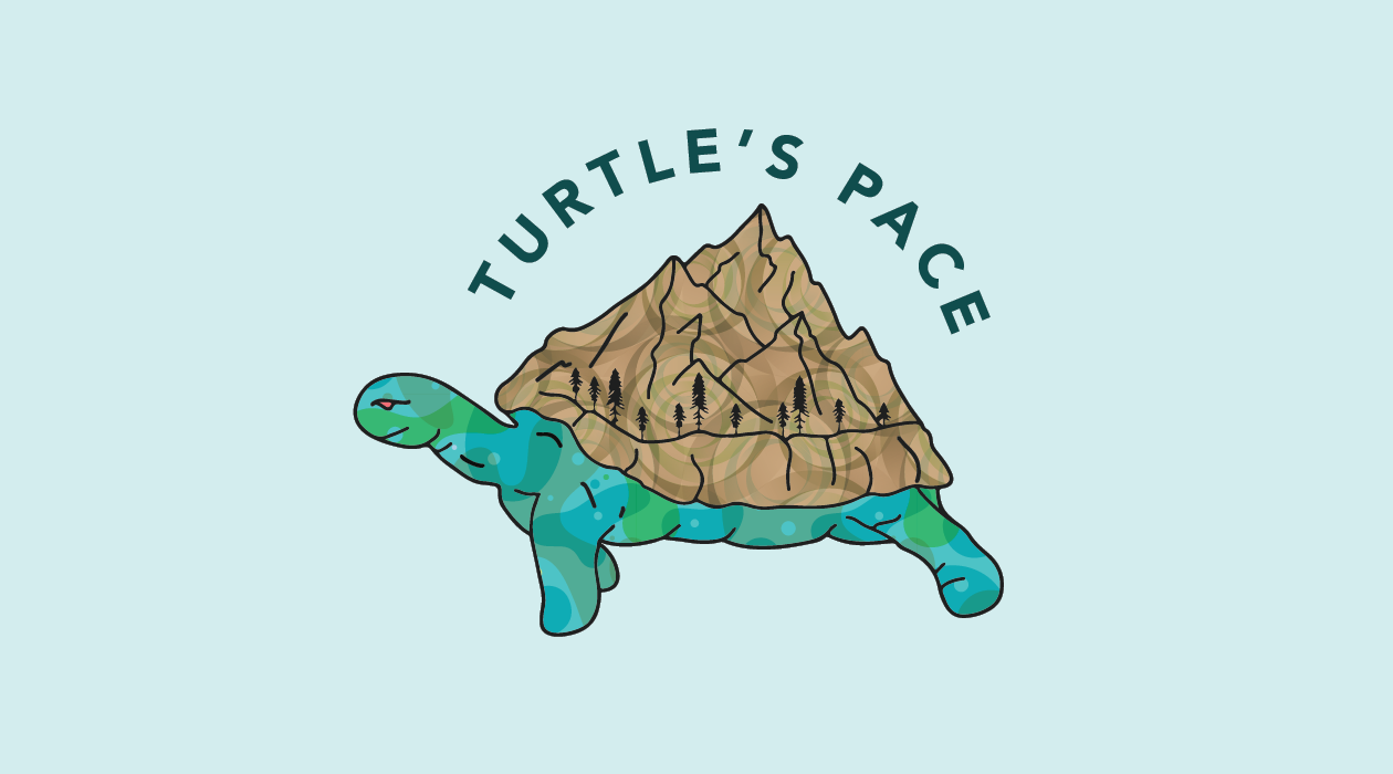 Turtle's Pace