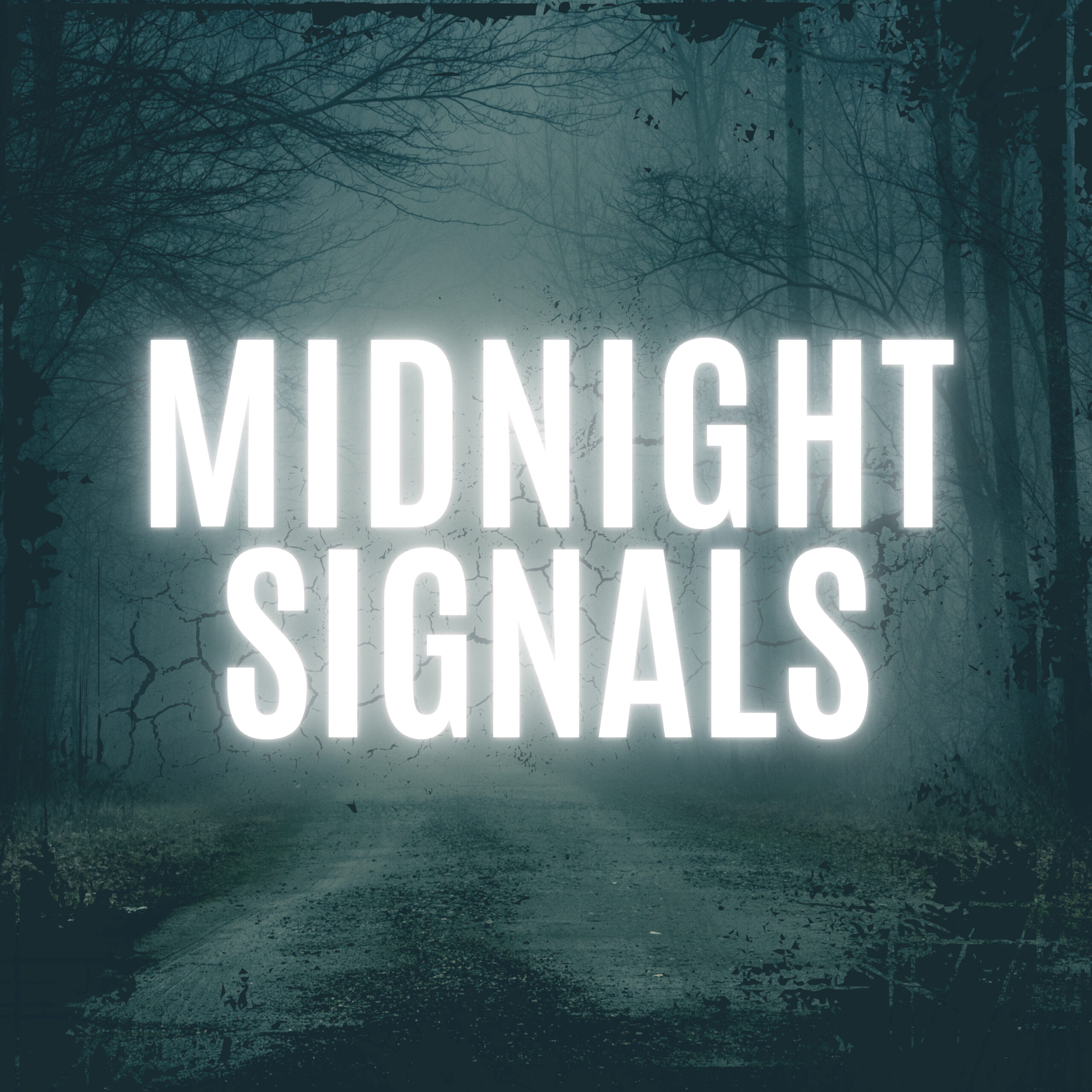 Midnight Signals